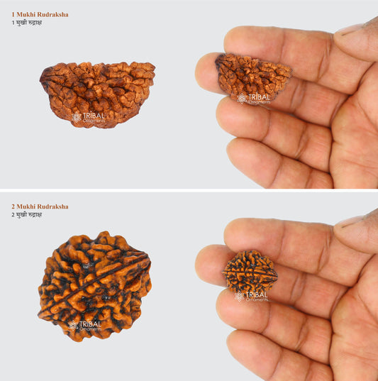 1 TO 11 Mukhi and Gorishankar and Ganesha Natural rudraksha, Nepali Rudraksha kavacham, best meditation beads r005 - TRIBAL ORNAMENTS